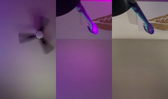 camgirlari's Stream - Sep 16, 2026, 5:29 AM
