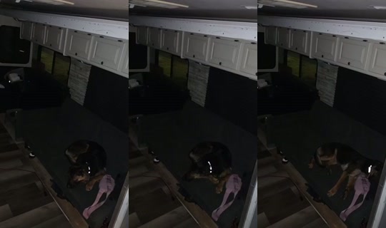 chickenandytv's Stream - Jul 31, 2026, 6:38 AM