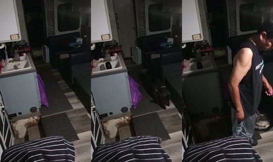 chickenandytv's Stream - Aug 8, 2026, 5:05 AM