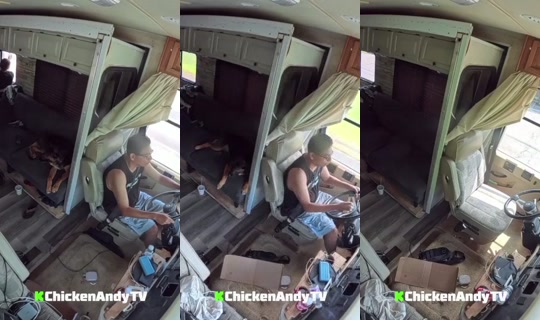 chickenandytv の配信 - 2026年8月9日 16:53