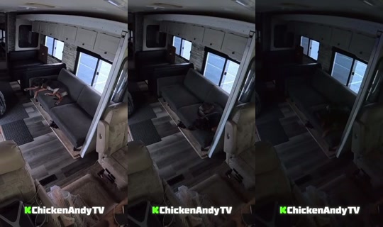 Live de chickenandytv - 10 de ago. de 2026, 23:23