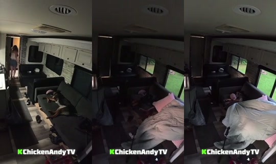 Stream di chickenandytv - 11 ago 2026, 9:30