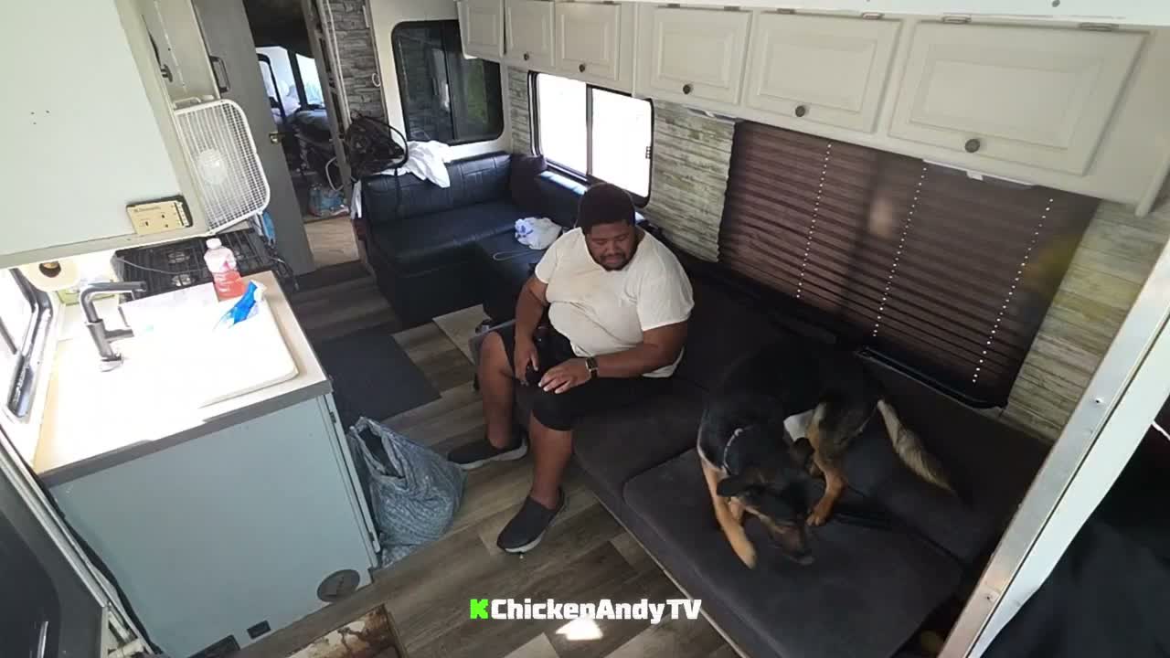 chickenandytv
