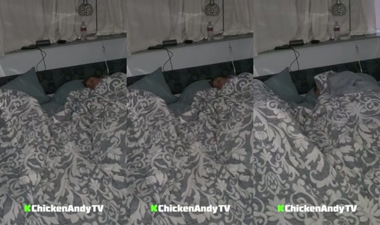 chickenandytv's Stream - Sep 15, 2026, 11:33 AM