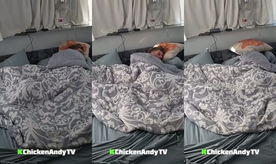 chickenandytv's Stream - Sep 15, 2026, 2:05 PM