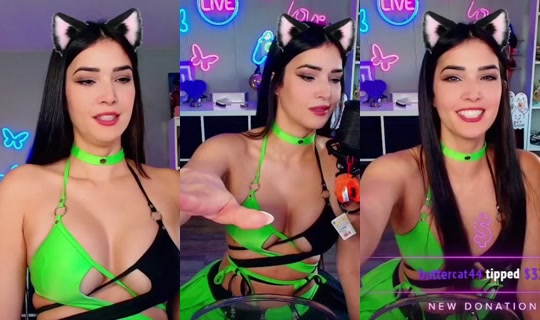 cincinbear's Stream - Oct 15, 2026, 12:45 PM
