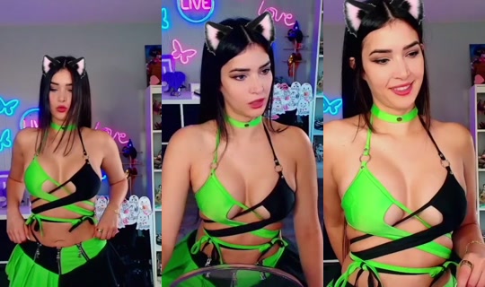 بث cincinbear - 16 أكتوبر 2026، 11:12 ص