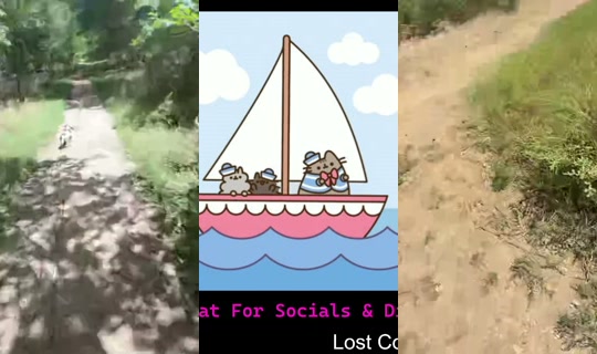 corneliusthecat's Stream - Jul 20, 2026, 5:02 PM