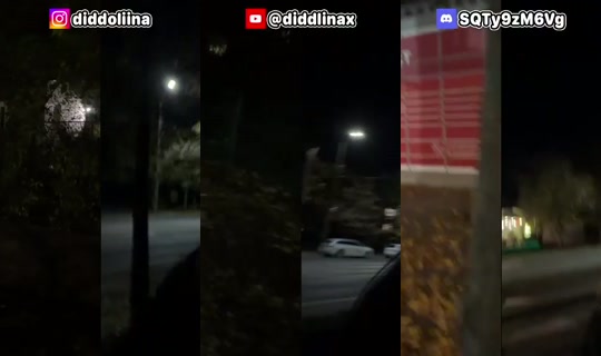 diddlina's Stream - Oct 27, 2026, 7:23 PM