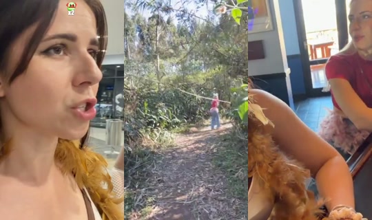 gogirl's Stream - Aug 23, 2026, 12:08 PM