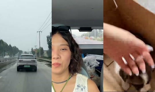 habbygolucky's Stream - Jul 27, 2026, 5:35 AM