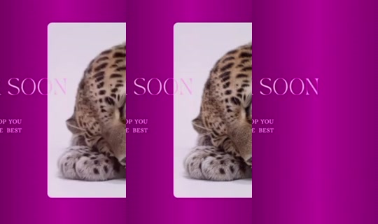 karoo-osuna의 방송 - 2026년 7월 26일 PM 11:33