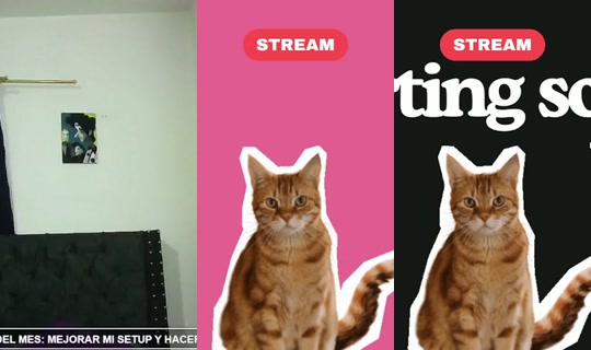 kishilove's Stream - Sep 11, 2026, 12:55 AM