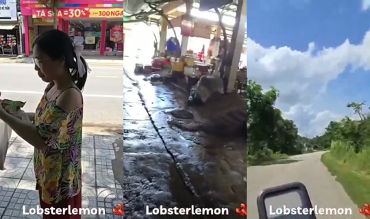lobsterlemon's Stream - Jul 14, 2026, 5:28 AM