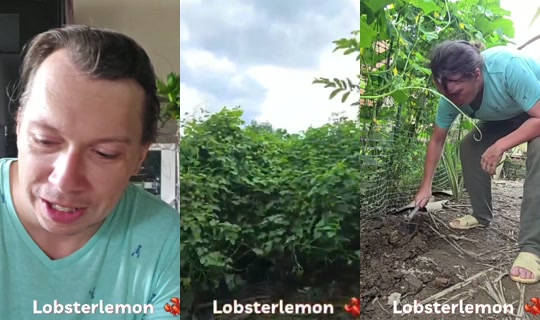 lobsterlemon's Stream - Jul 14, 2026, 7:09 AM