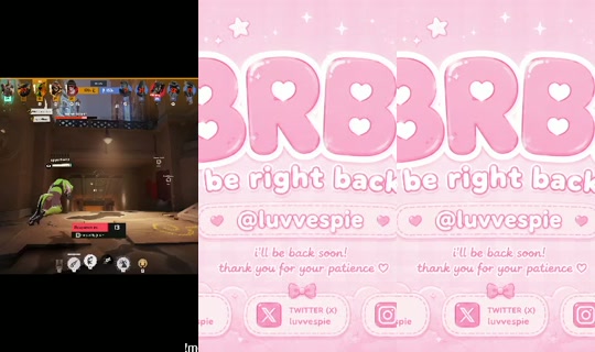 luvvespie's Stream - Oct 29, 2026, 4:07 AM