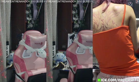 pauchikita's Stream - Jul 28, 2026, 8:56 AM