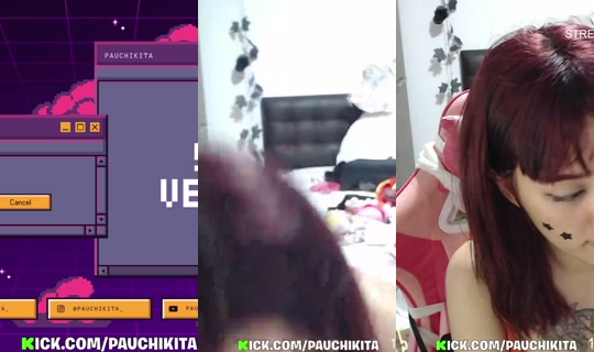 pauchikita's Stream - Aug 8, 2026, 4:11 AM