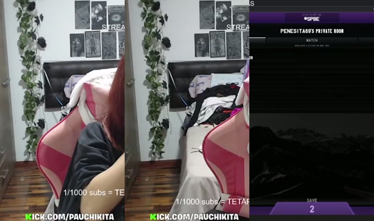 pauchikita's Stream - Aug 22, 2026, 11:20 AM
