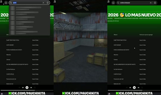 pauchikita's Stream - Aug 23, 2026, 9:38 AM