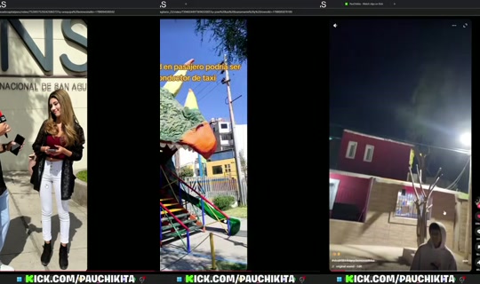 pauchikita's Stream - Aug 30, 2026, 1:07 PM