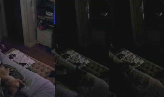 poppypnw's Stream - Jul 26, 2026, 9:39 AM