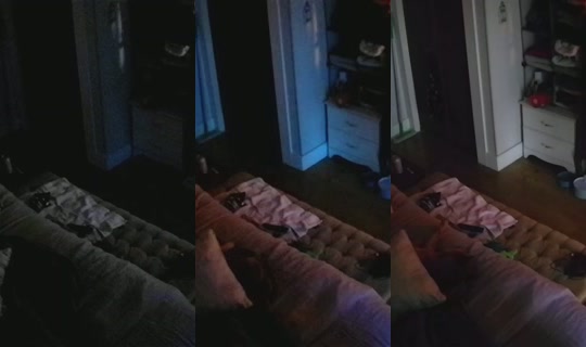 poppypnw's Stream - Jul 26, 2026, 12:11 PM