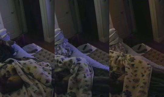 Stream di poppypnw - 27 lug 2026, 6:11