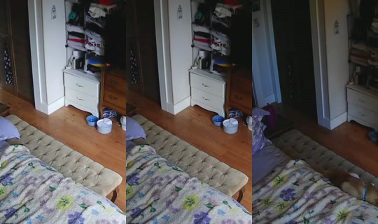 poppypnw's Stream - Jul 28, 2026, 2:58 AM