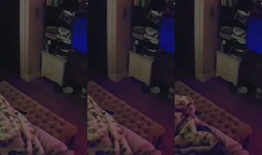 poppypnw's Stream - Jul 29, 2026, 7:13 AM