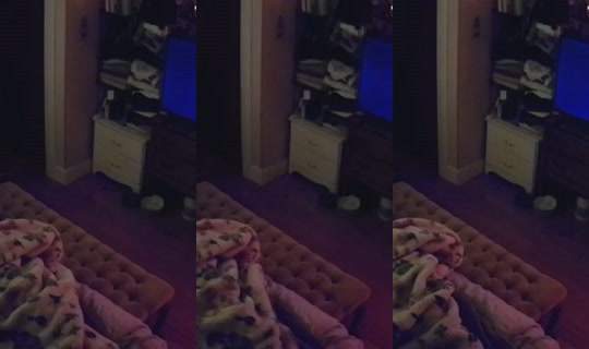 poppypnw's Stream - Jul 29, 2026, 8:54 AM