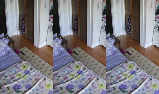 poppypnw's Stream - Jul 30, 2026, 6:44 PM