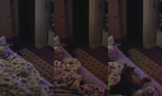 poppypnw's Stream - Jul 31, 2026, 6:35 AM