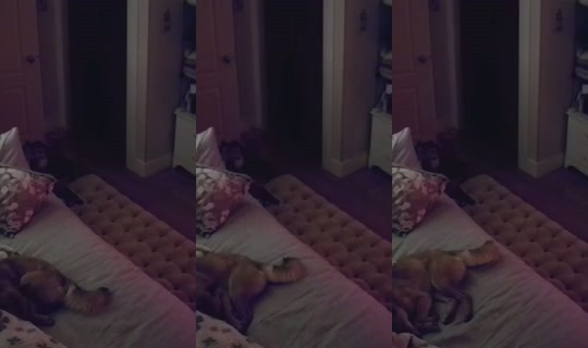poppypnw's Stream - Jul 31, 2026, 9:06 AM