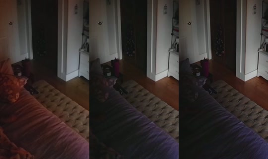 Stream ni poppypnw - Hul 31, 2026, 12:28 PM