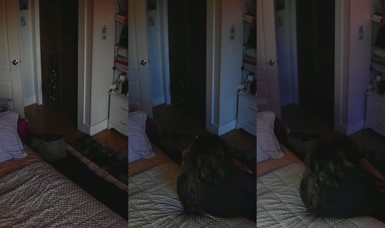 poppypnw's Stream - Aug 7, 2026, 3:25 AM