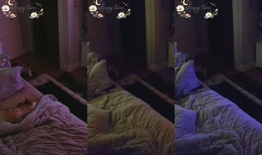 poppypnw's Stream - Aug 7, 2026, 6:35 AM