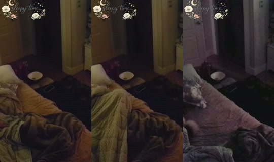 poppypnw's Stream - Aug 8, 2026, 9:37 AM