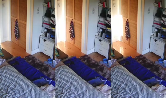 poppypnw's Stream - Aug 9, 2026, 2:11 AM
