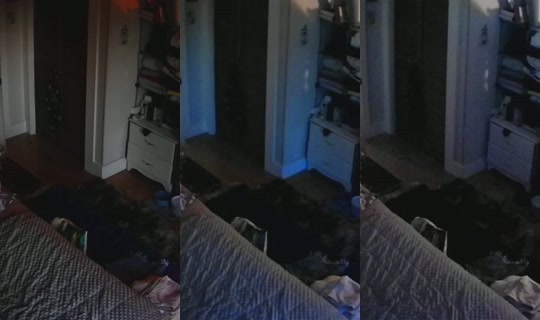 poppypnw's Stream - Aug 9, 2026, 3:52 AM