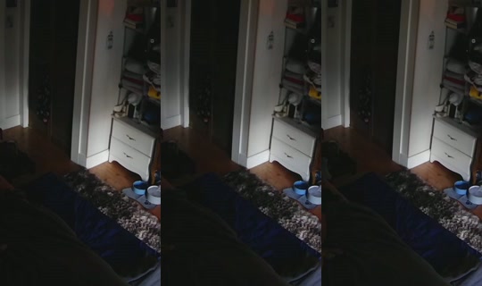 poppypnw's Stream - Aug 10, 2026, 1:37 PM