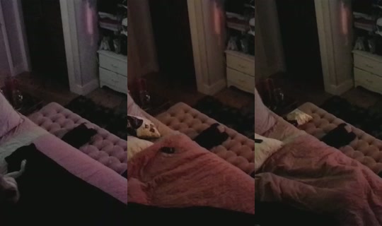 Live de poppypnw - 23 de ago. de 2026, 8:48