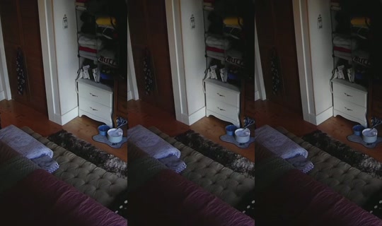 Transmisión de poppypnw - 25 ago 2026, 1:47