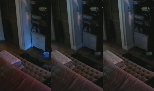 Transmisión de poppypnw - 25 ago 2026, 3:28