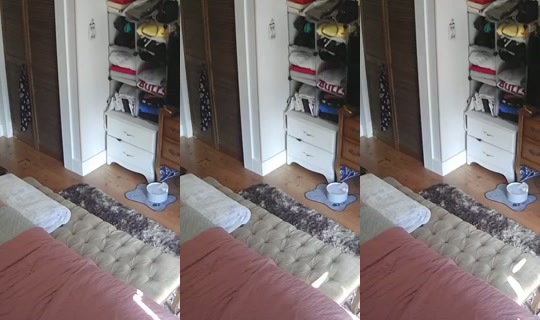 poppypnw's Stream - Aug 25, 2026, 8:45 PM
