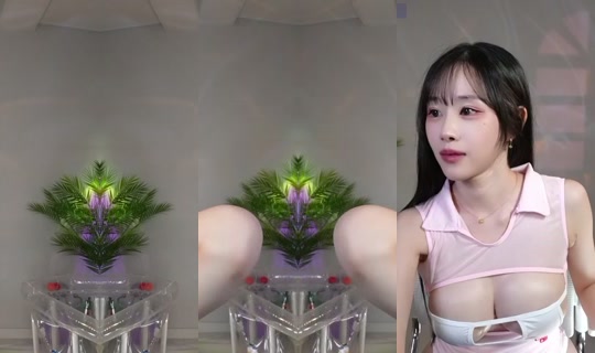 seoi1016's Stream - Aug 6, 2026, 1:37 PM