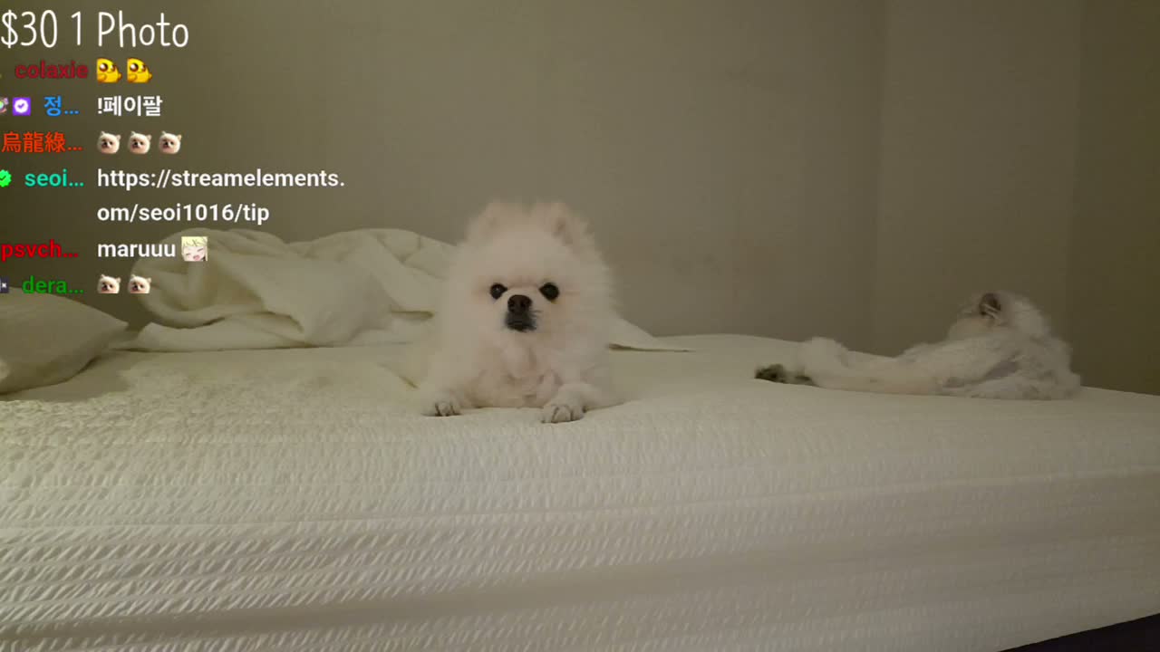 seoi1016