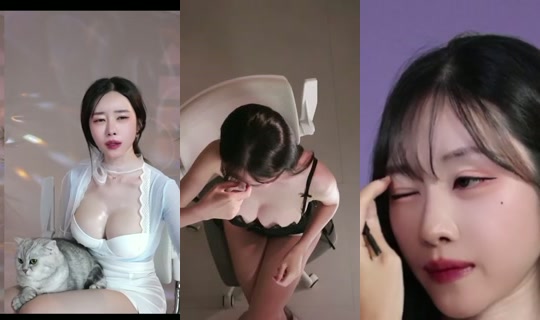 seoi1016's Stream - Sep 22, 2026, 11:29 AM