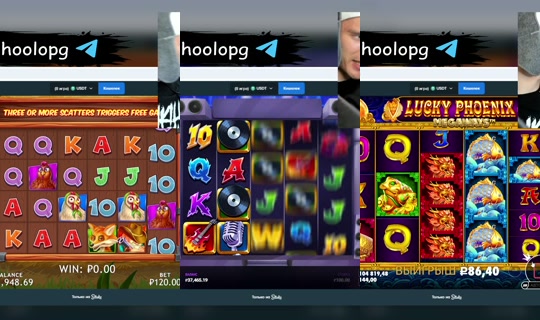 shkilla-team's Stream - Jul 14, 2026, 10:04 PM