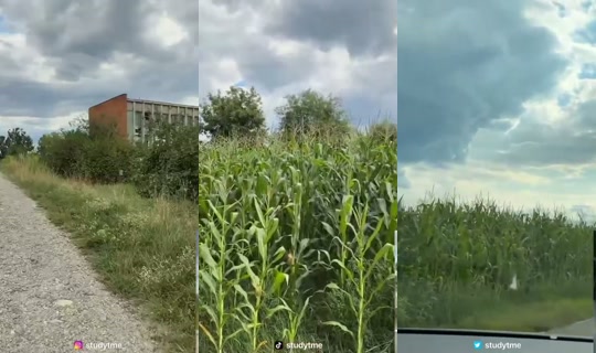 studytme's Stream - Jul 23, 2026, 2:21 PM